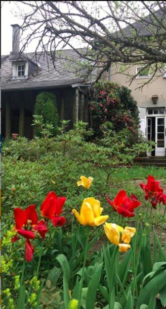 Hotel Maison Lyre, Pompadour à Arnac-Pompadour Extérieur photo